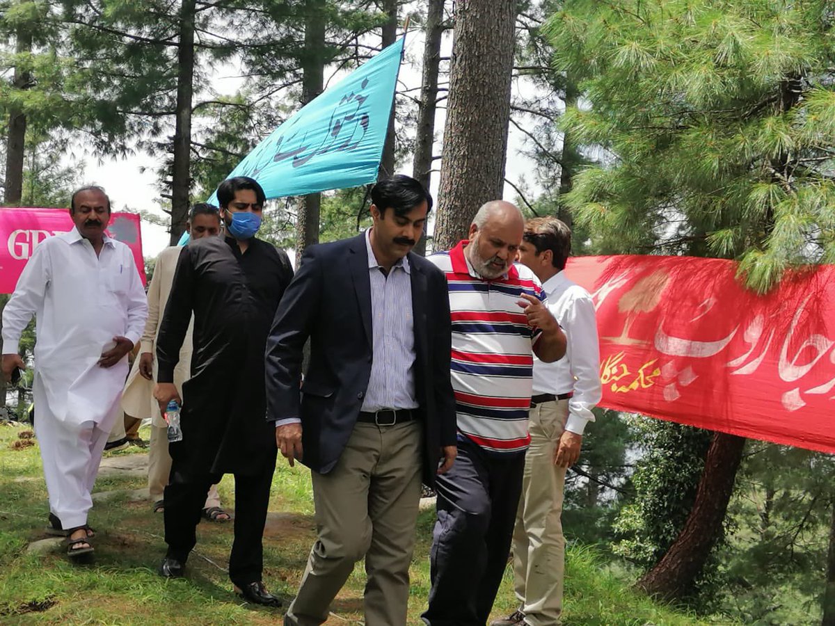 Plant4Pak's tweet photo. Deputy Commissioner #Rawalpindi planted a tree sapling at Patriata Top, along with Deputy Commissioner the Forest department has planted 800 tree saplings.
#MonsoonTreePlantation 
#Plant4Pakistan21 https://t.co/3YEcl1GQuL