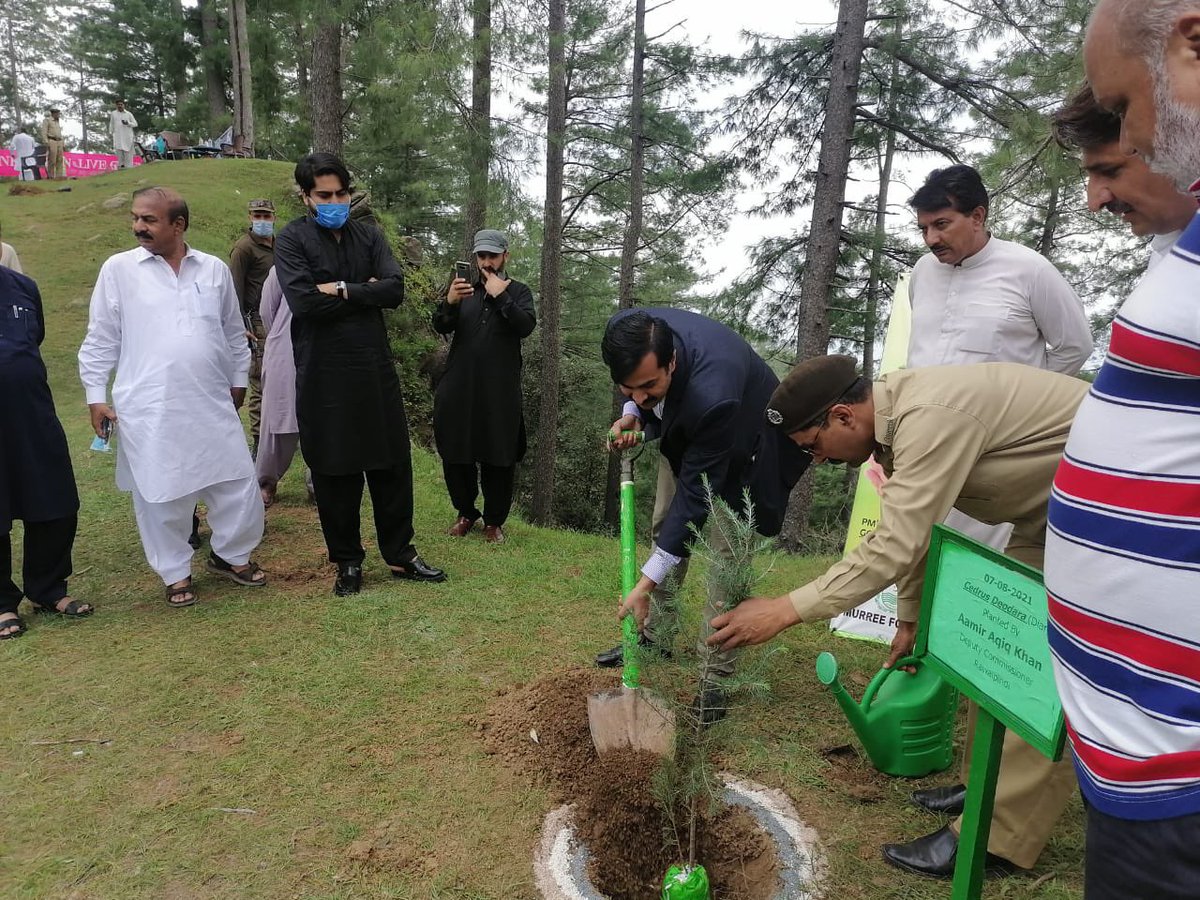 Plant4Pak's tweet photo. Deputy Commissioner #Rawalpindi planted a tree sapling at Patriata Top, along with Deputy Commissioner the Forest department has planted 800 tree saplings.
#MonsoonTreePlantation 
#Plant4Pakistan21 https://t.co/3YEcl1GQuL