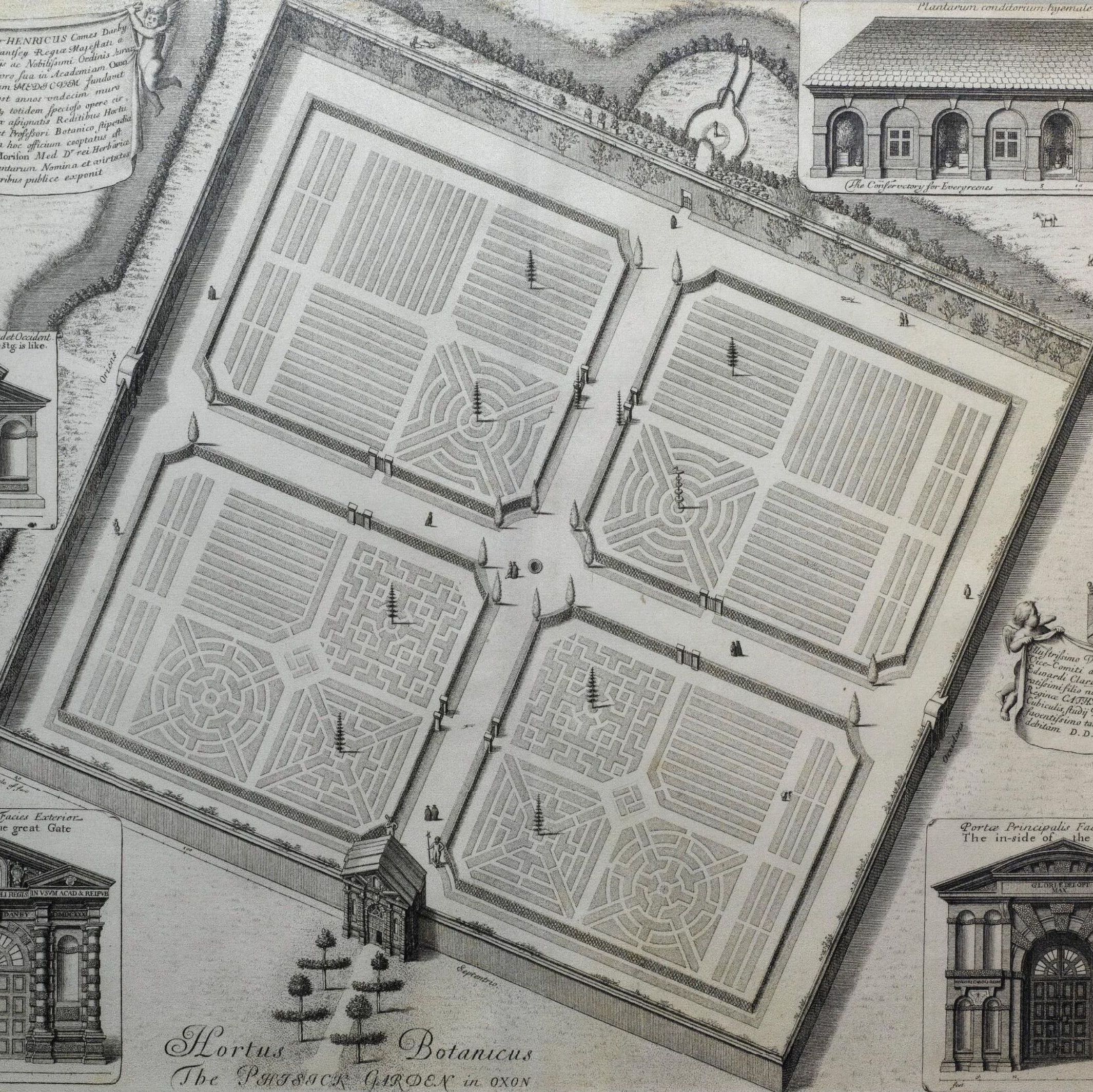 Sketch of Oxford Botanic Garden in 1675