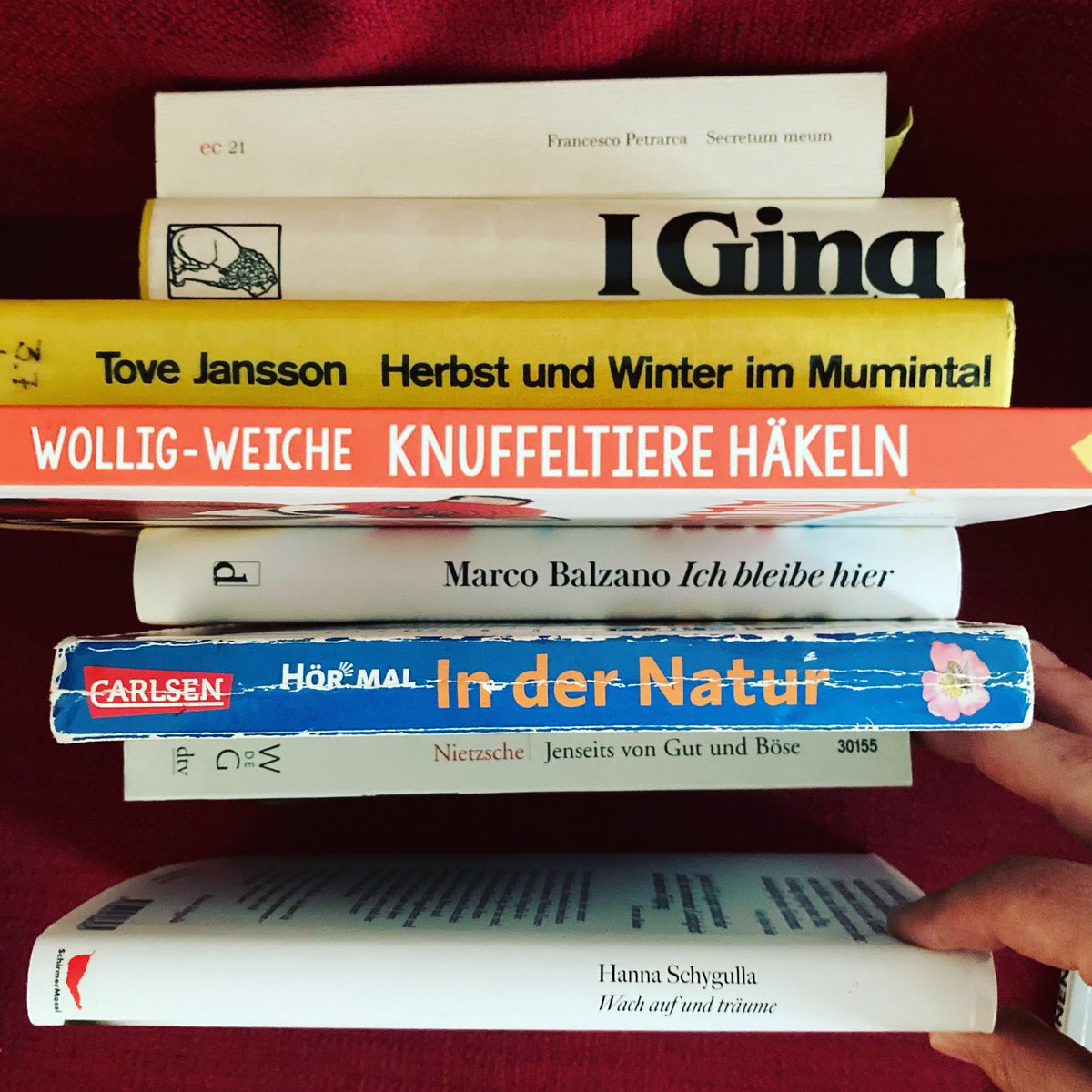 Gute Beschäftigung, wenn man kränkelnd zu Hause rumhängt: Seinen Buchtiteln einen Sinn geben.  #bücherregalchallenge <a href="/RahmanNow/">Rahman Jamal</a> und jetzt Du!