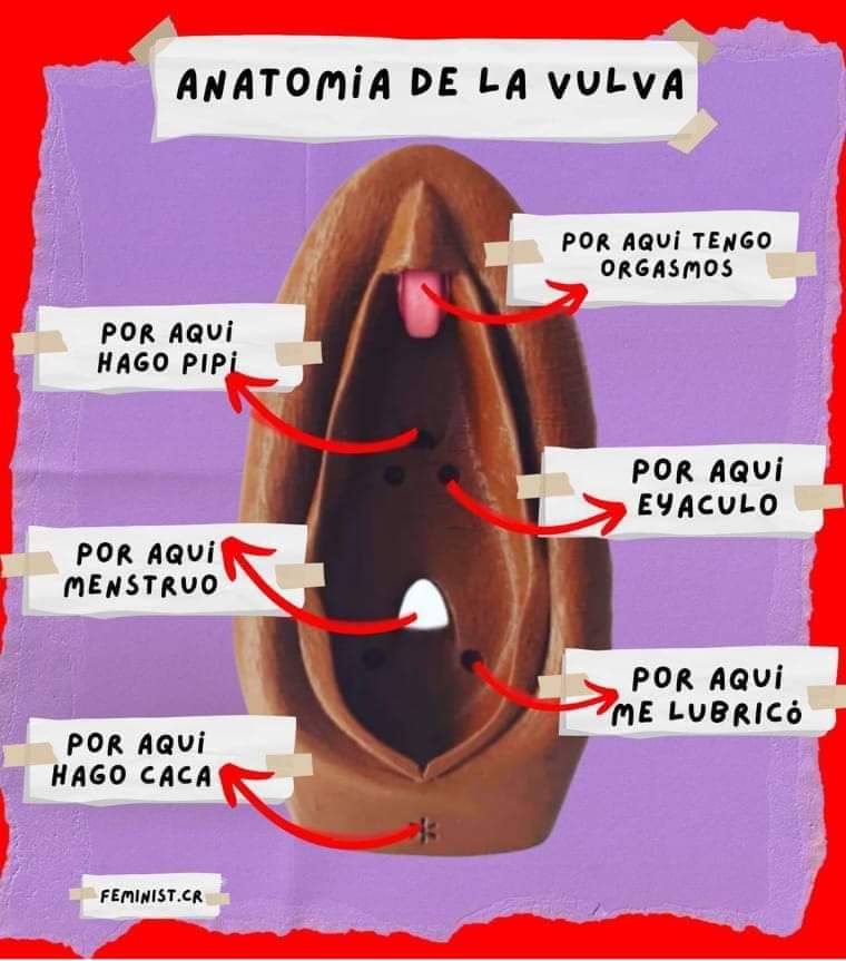 arelyfeminista's tweet photo. 💜 https://t.co/kRzkPmCYAG