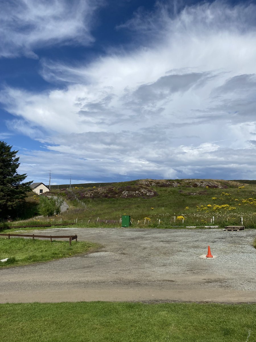 Laura Mills tweet media