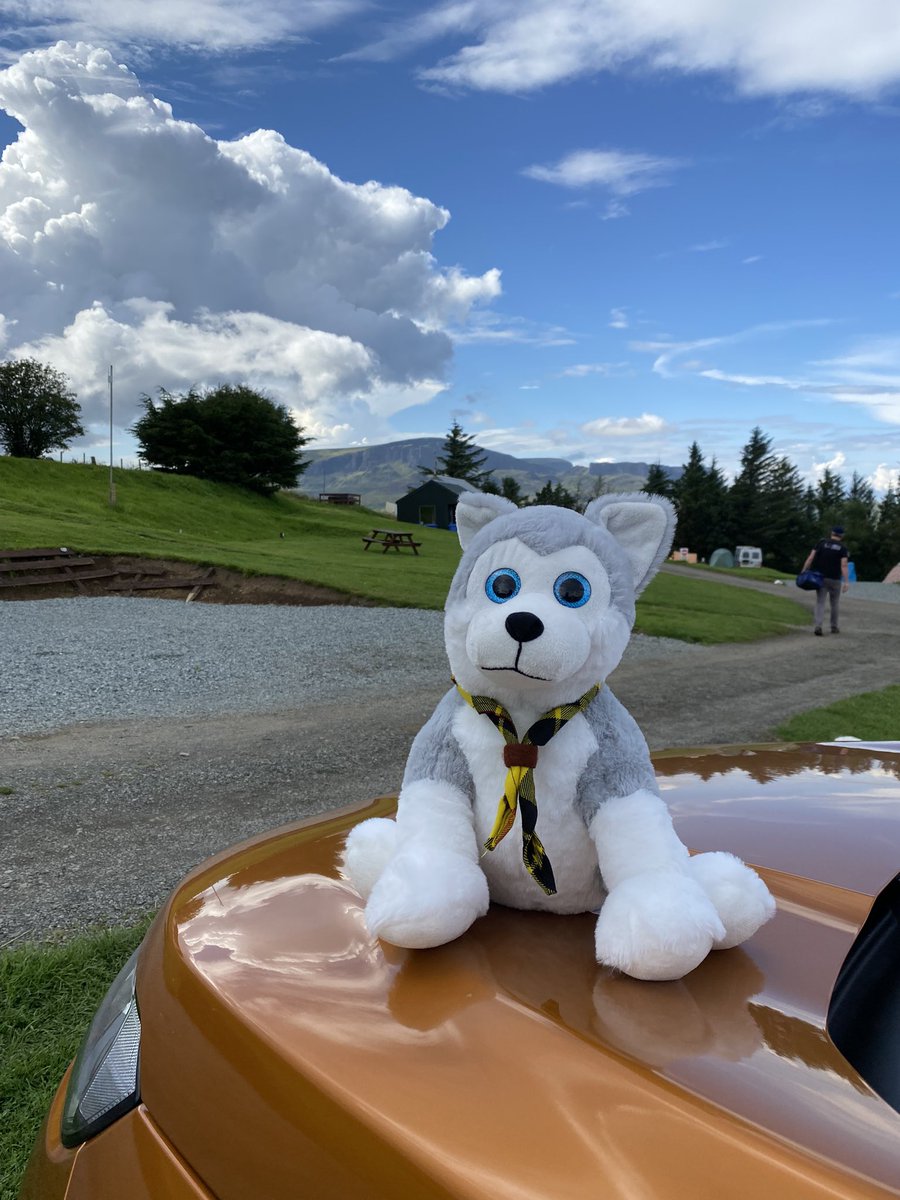 Laura Mills tweet media