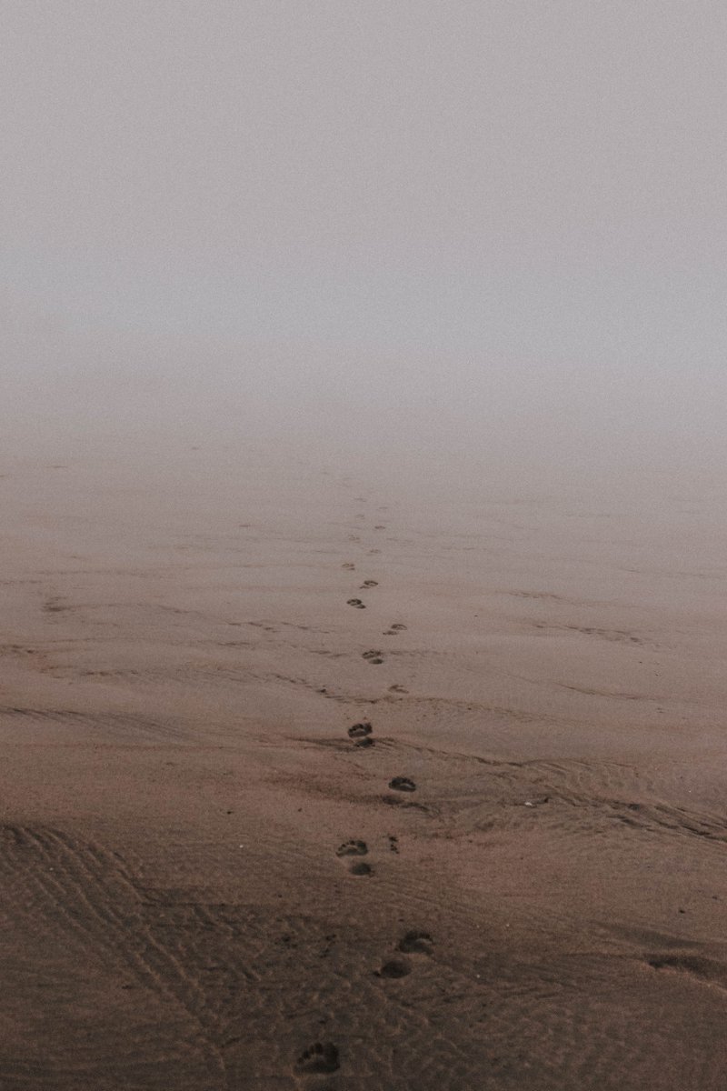 CommitTwoChange's tweet image. No child should ever have to walk alone.. With your help, they don’t have to. 👣 #bethechange #commit2change