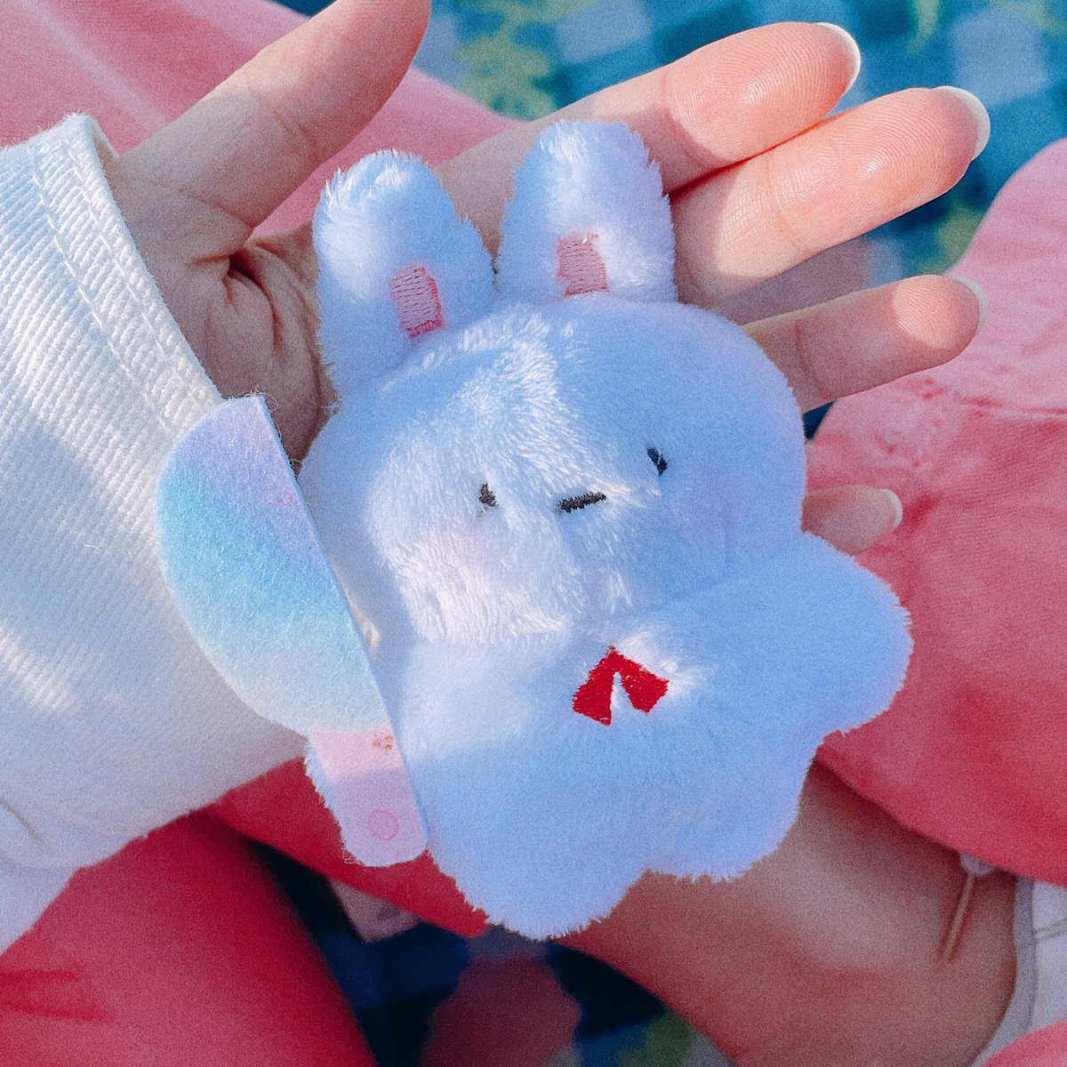 jisoupy's tweet photo. LOOK AT THESE LITTLE BABIES ❤️ coming soon to jisoupy dot com!!! https://t.co/jLpoODcqHt