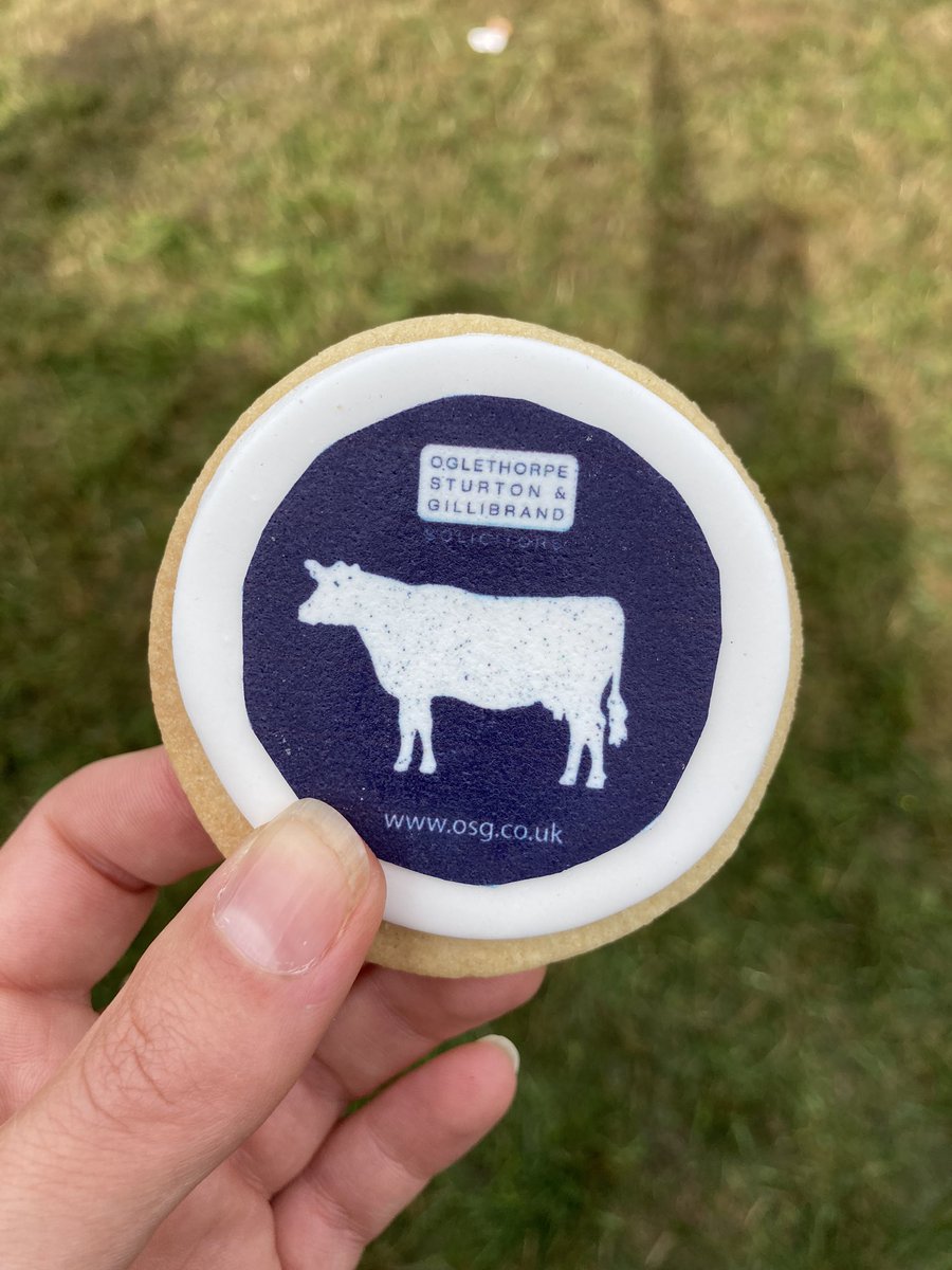 Laura Bright tweet media