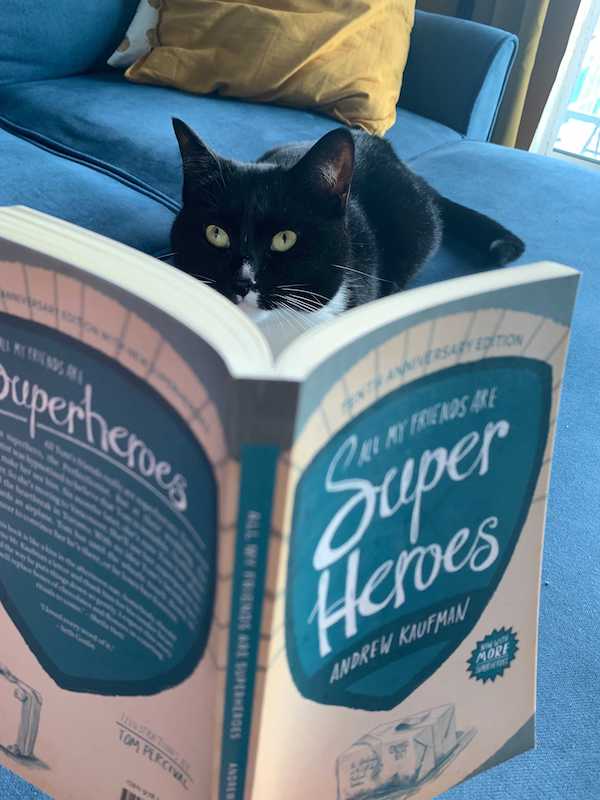 8. Luna is whiskered away with Andrew Kaufman's whimsical novel  All My Friends Are Superheroes (<a href="/coachhousebooks/">Coach House Books</a>). Submitted by Coach House Editorial Assistant Tali Voroon