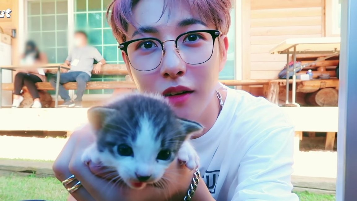 beonyeong's tweet photo. คิดถึง___คิดถึง น้องอินจุนกับน้องแมวน่ารักที่สุดในโลก คุยกันรู้เรื่องตามประสาแมว ⑅˃◡˂⑅ https://t.co/NHW5rN7zke