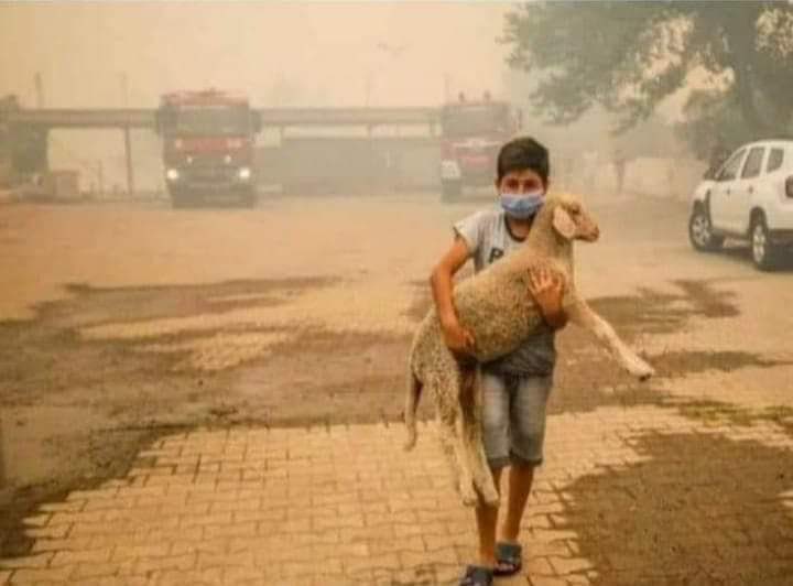 nikosren tweet media