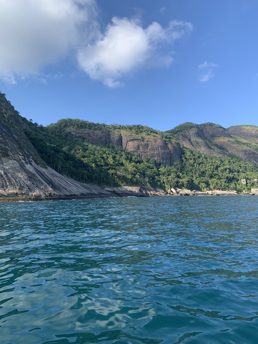 ummardelu's tweet photo. Na faculdade, pesquiso sobre os corais do gênero #Tubastraea, mais conhecidos como #coralsol. Desenvolvo um projeto de iniciação científica, junto com o #icmbioalcatrazes e #cebimarusp. https://t.co/GQpw4rFBNw