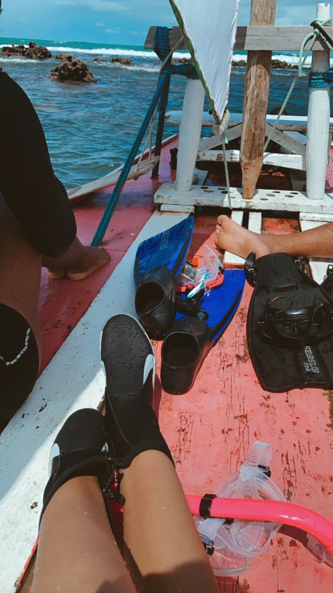 ummardelu's tweet photo. Além disso, tive o privilégio de participar de um projeto de #recuperaçãorecifal em Porto de Galinhas-PE chamado #biofábricadecorais. Trabalhei com três espécies de corais: a #Mussismiliahispida #Mussismiliaharttii e #Milleporaalcicornis. https://t.co/jx2tZ49xZe