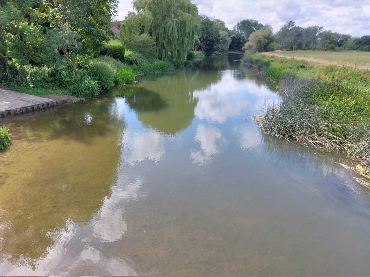 carlsayerUCL's tweet photo. River Ouse not looking Great. Problems of rivers are widespread. A murky river full of algal plankton when it should be clear &amp; full of aquatic plants. Our rivers are in trouble. The only solution is major land-use change &amp; stronger river regulation @EnvAgency @EnvAgencyAnglia https://t.co/0agozNJj0M