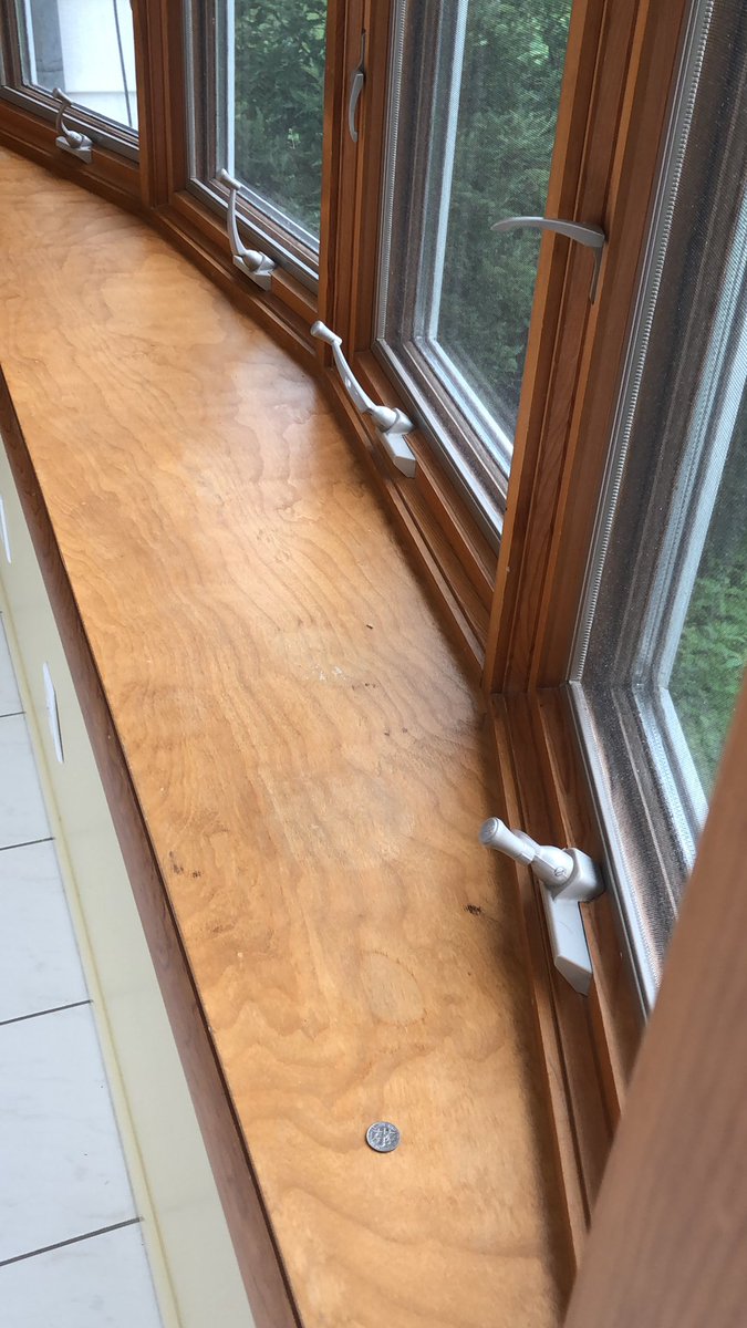 DougtheGugg's tweet photo. Hey @salgovernale. I came home from a trip and saw my window was unlocked and a dime, tails side down, was waiting there for when I returned. Sal, what does this mean? @sternshow https://t.co/VQM80Nw7yQ