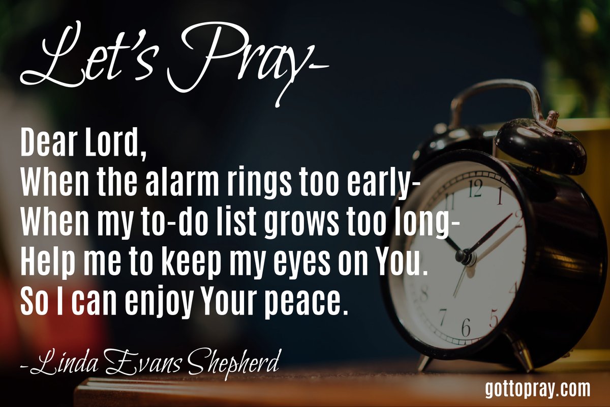 Linda Evans Shepherd (@lindashepherd) on Twitter photo 