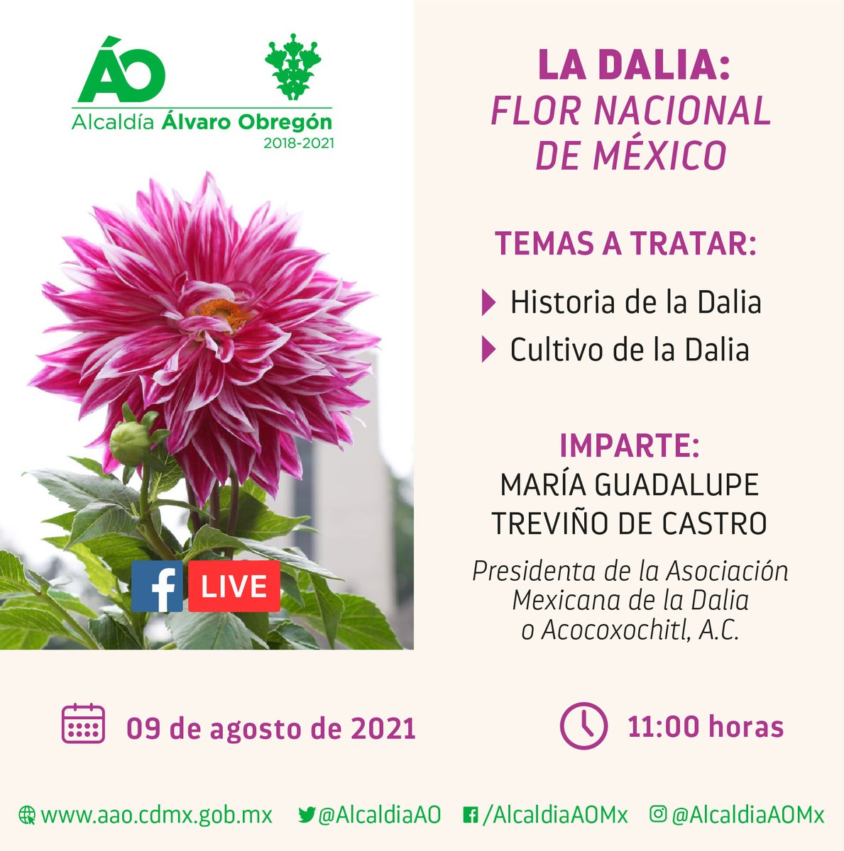 Asociación Dalia (@AsociacionDalia) / Twitter