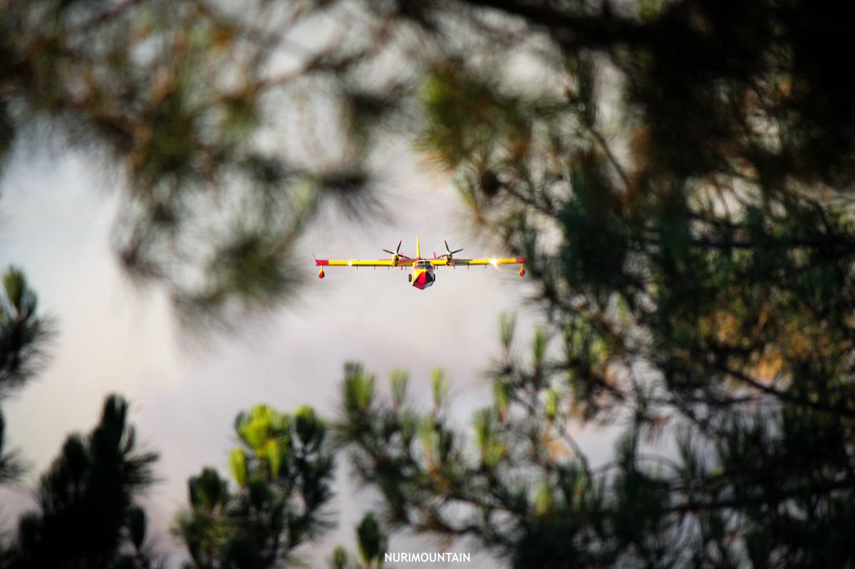 nuri_incendios's tweet photo. Fotos de ayer día 6/08/2021 en el #IFElTiemblo @UMEgob @DelBombero @AT_Brif @bomberos_infoma @IncendiosES @IncendioFuerte @InfuesAvila @INFOCYL https://t.co/uTeZGdQ8r8