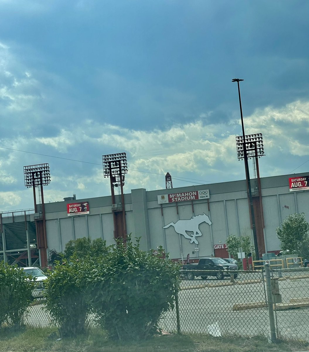 Bella Bee  tweet media