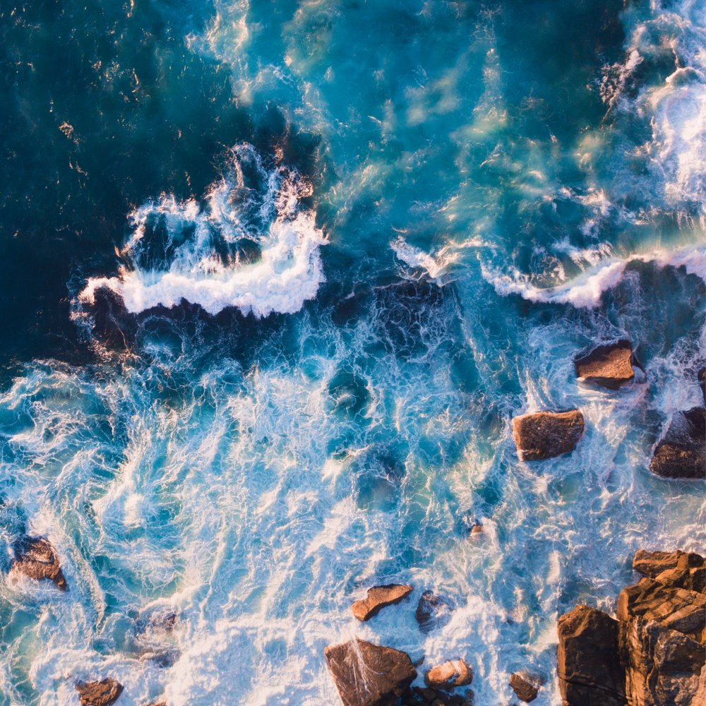 RestoreFoodware's tweet image. 71% of our Planet is covered by oceans. Our mission is to protect and restore these ecosystems.


#Plasticfree
#AirCarbon
#Seaside