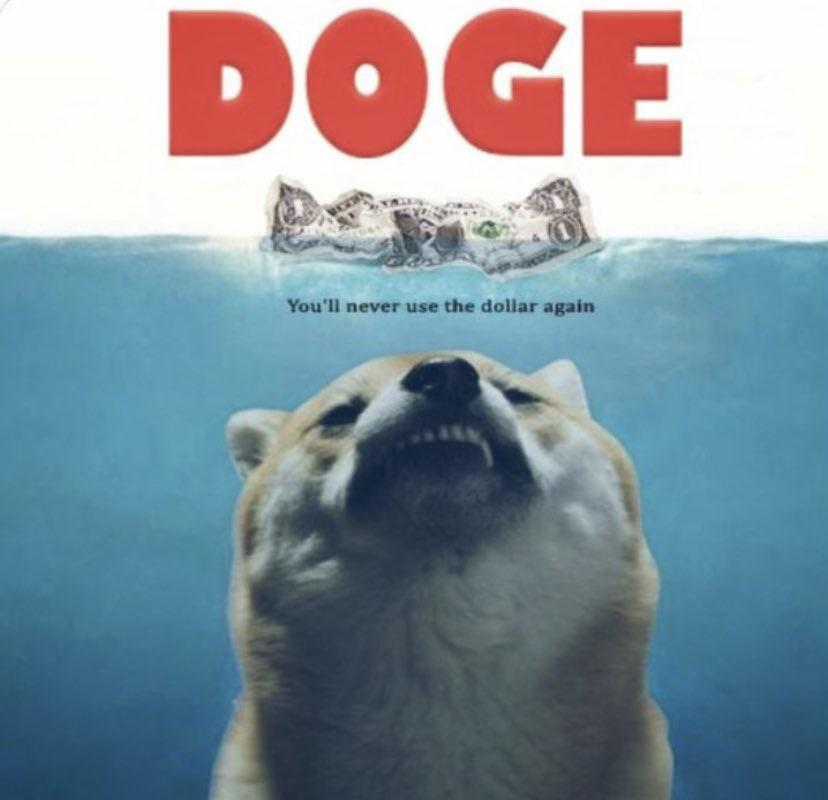 #Crypto bull market has resumed, #dogecoin will lead the pack w/best year over year (YOY) returns. $1-$2 in 12months.🚀🚀 Let's go!💎🐾💎