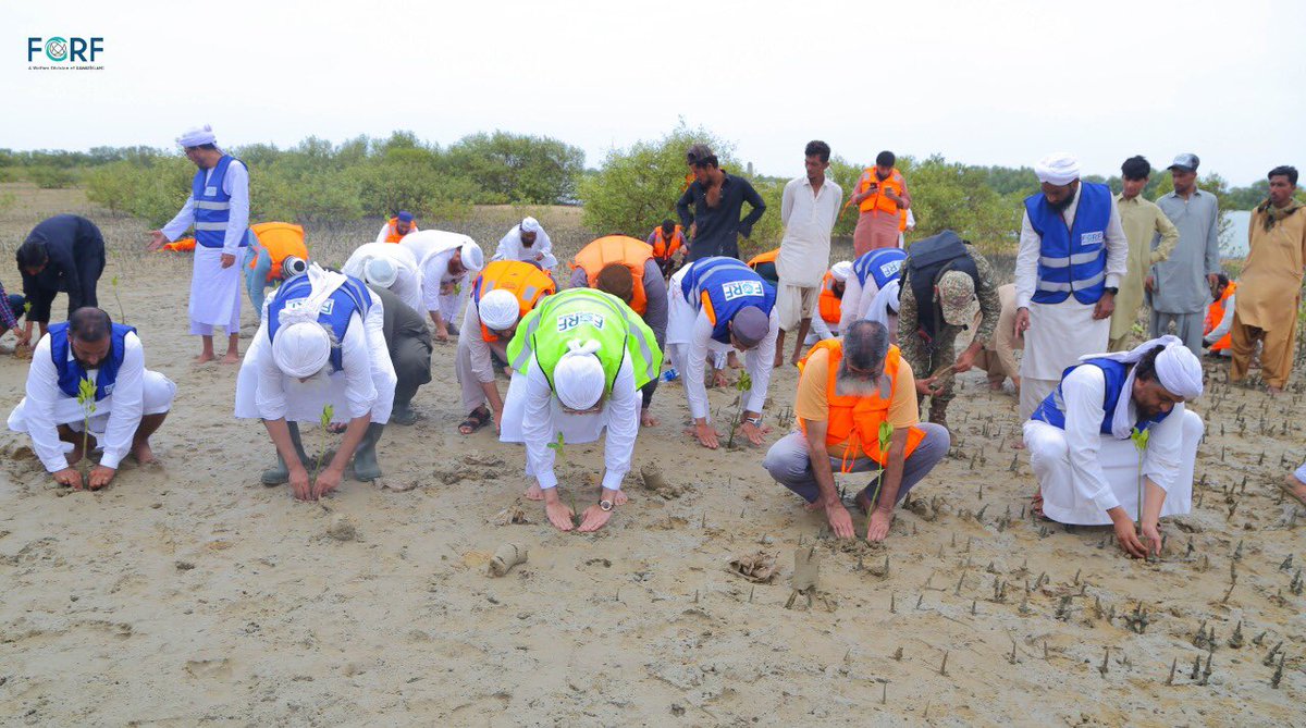 FGRForg's tweet photo. FGRF Plantation Activity at Dam Beach Balochistan along WWF &amp; Pakistan Navy, on a Island approx an hour sea distance. (MIANO HOR) #EcosystemRestoration
@ClimateChangePK
@PakPMO
@UNDP_Pakistan
@UNEP
@Plant4pak
@wwfpakistan
@pakistannavy
@card_pk https://t.co/xgBECAyzz3