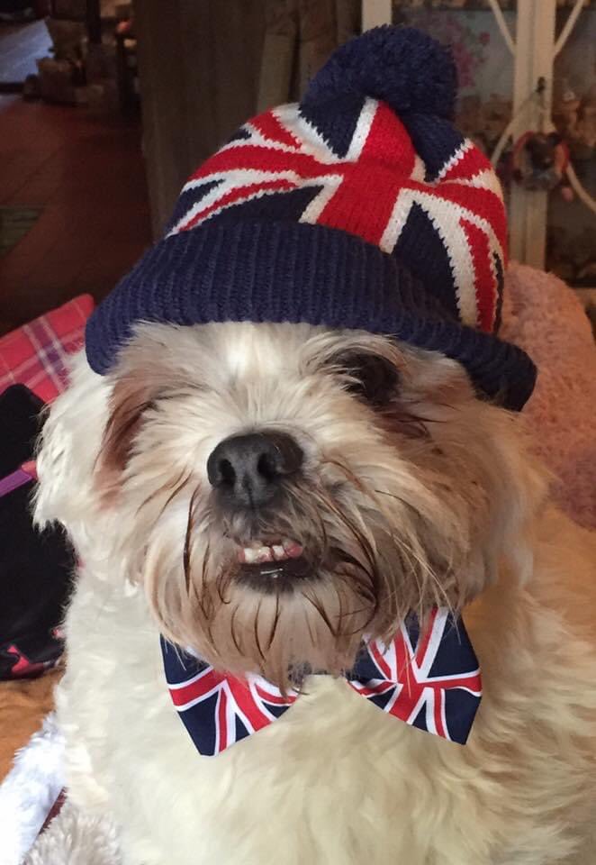 Parsley Meek tweet media