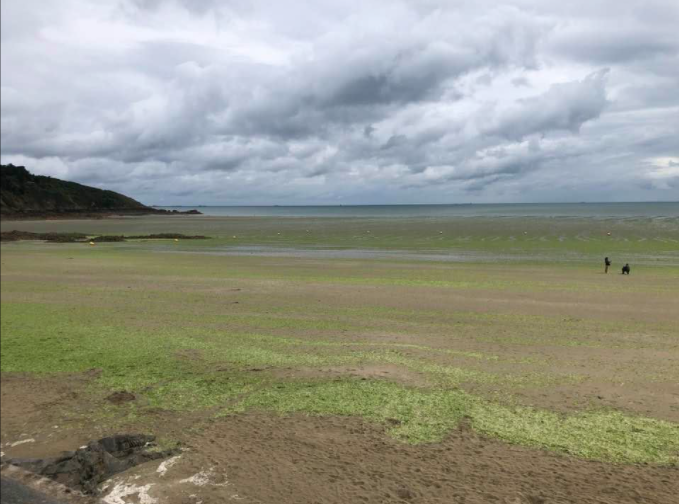 Quand est ce que le saccage de la Bretagne va s 'arrêter ? #Alguesvertes
