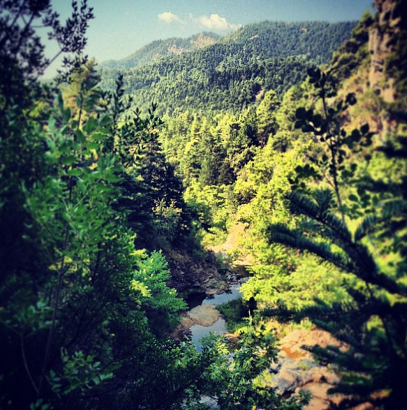 PGPapanikolaou's tweet photo. Αυτόν τον Παράδεισο χάσαμε για πάντα.
Ο όλεθρος ειδικά στην Βόρεια Εύβοια έχει φαρδιά πλατιά την υπογραφή "Κυριάκος Μητσοτάκης".
Καμία απολύτως δικαιολογία. https://t.co/ALThUjymIA