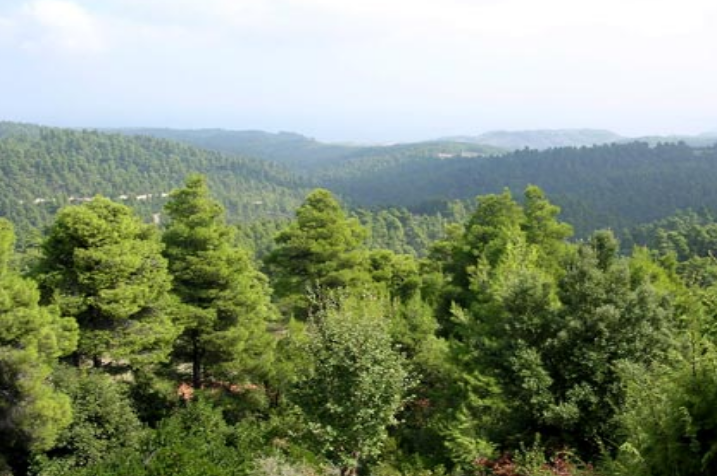 PGPapanikolaou's tweet photo. Αυτόν τον Παράδεισο χάσαμε για πάντα.
Ο όλεθρος ειδικά στην Βόρεια Εύβοια έχει φαρδιά πλατιά την υπογραφή "Κυριάκος Μητσοτάκης".
Καμία απολύτως δικαιολογία. https://t.co/ALThUjymIA