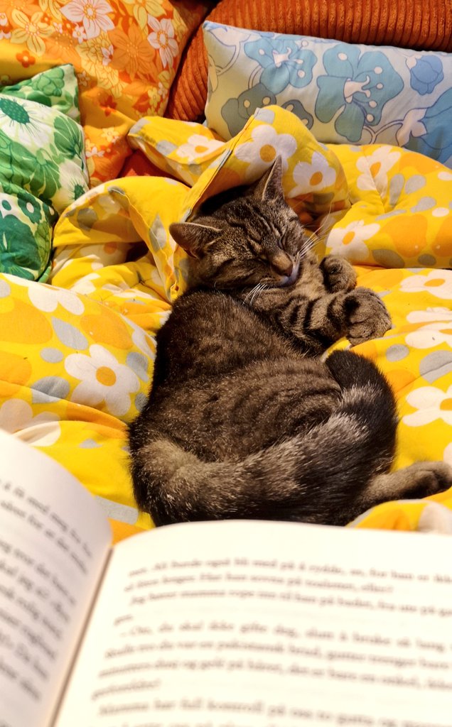 I think hour 16 has come and gone, but here's a photo of my reading companion. #readathon