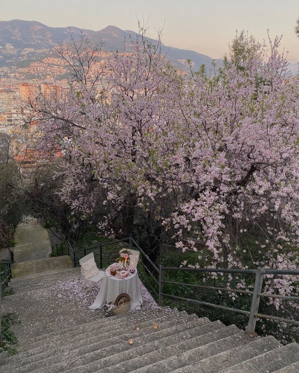 𝒋 𝒂 𝒔 𝒎 𝒊 𝒏 𝒆 (@01172106a) on Twitter photo 