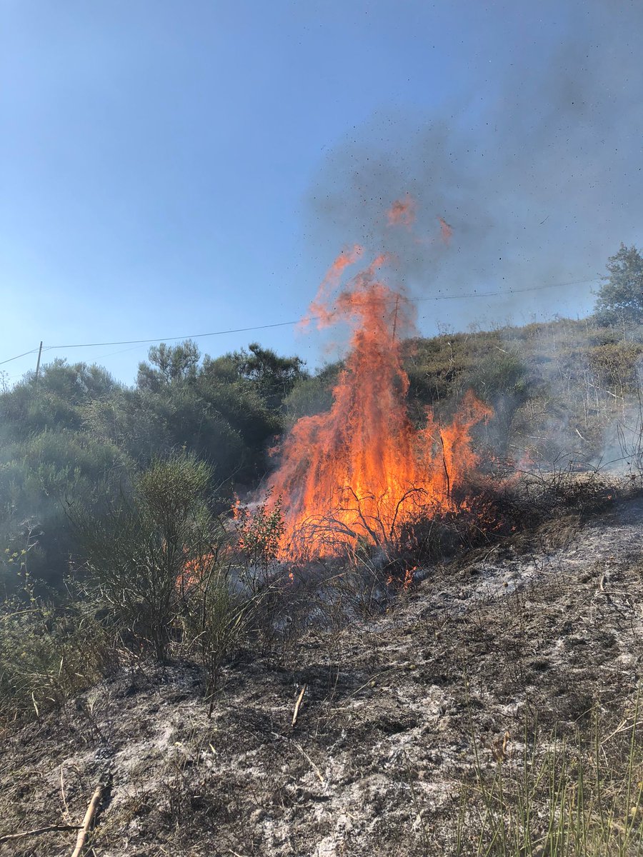 fedvvfvoltn's tweet photo. #IncendiSicilia: continua il lavoro dei #vvfvolontari del #Trentino in #Sicilia. Oggi i 18 volontari hanno ricevuto il cambio, sostituiti da altrettanti pompieri appartenenti sempre alle unioni #Giudicarie e #AltoGardaLedro.
#vvftrentino @ProvinciaTrento
@DPCgov @dpcpat1 https://t.co/42GSZh9ycj