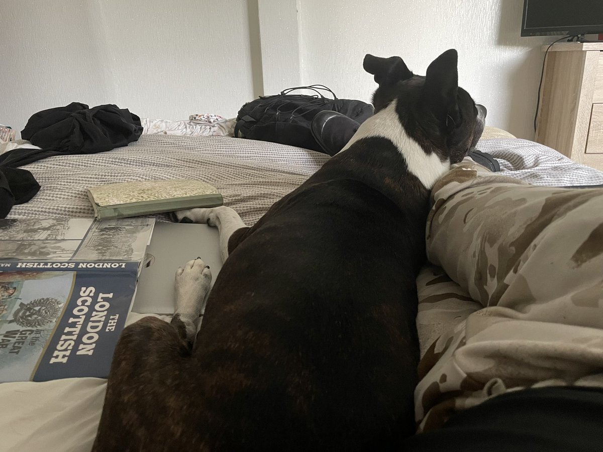 Revealing most of my PhD research occurs from a supine position with assistance from my best mate might not have been my finest of hours.