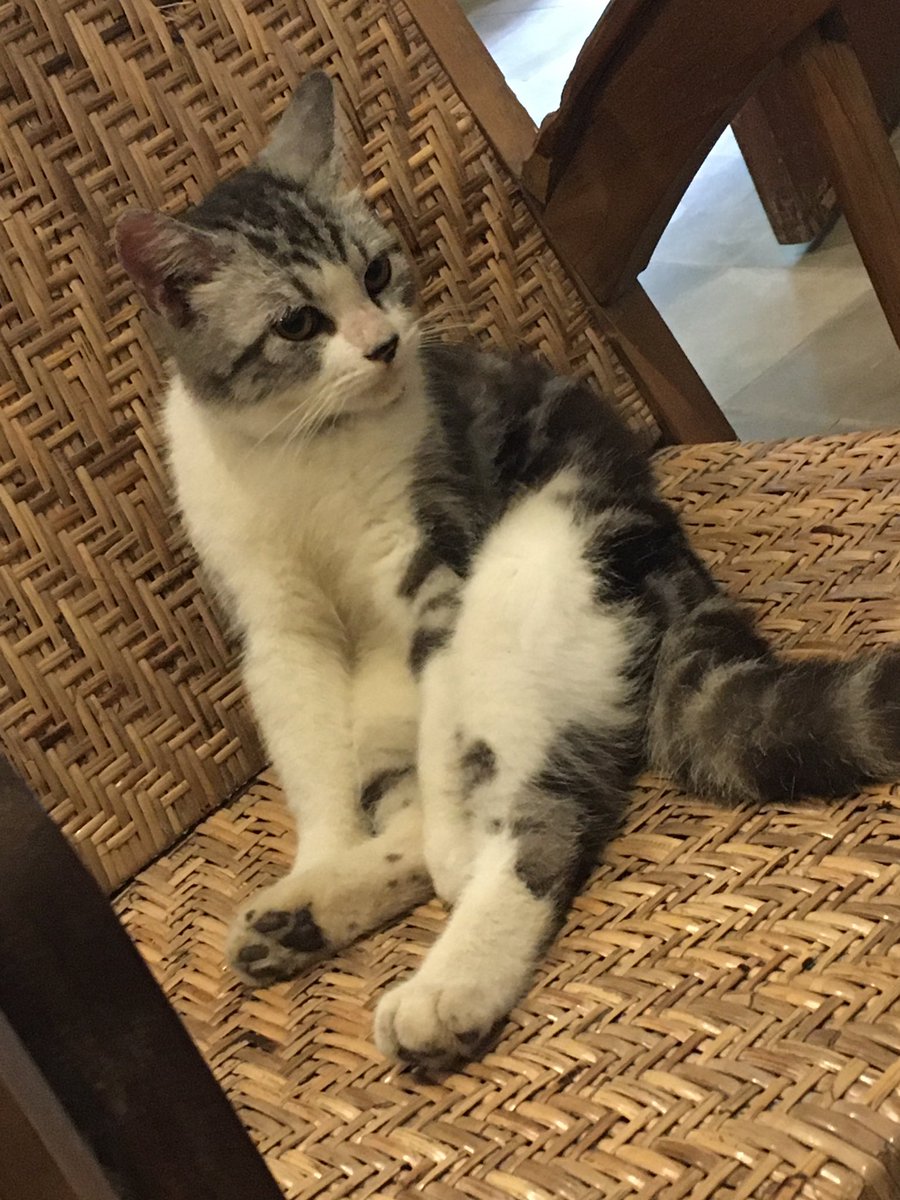 SendiriSepi3's tweet photo. duduk manis sini, aku ceritain aib negara ini https://t.co/zw4uQS3nca