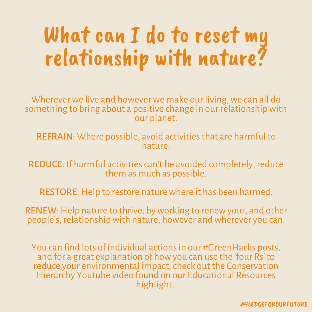 Naturepledge's tweet photo. We're excited to have a bit of a relaunch on the #PledgeForOurFuture social media! Follow us &amp; don't forget to sign the Pledge on our website. We’ll be posting #GreenHacks to help you be more #ecofriendly and sharing all things #sustainability 🌍✨ https://t.co/mpS8vcclgB