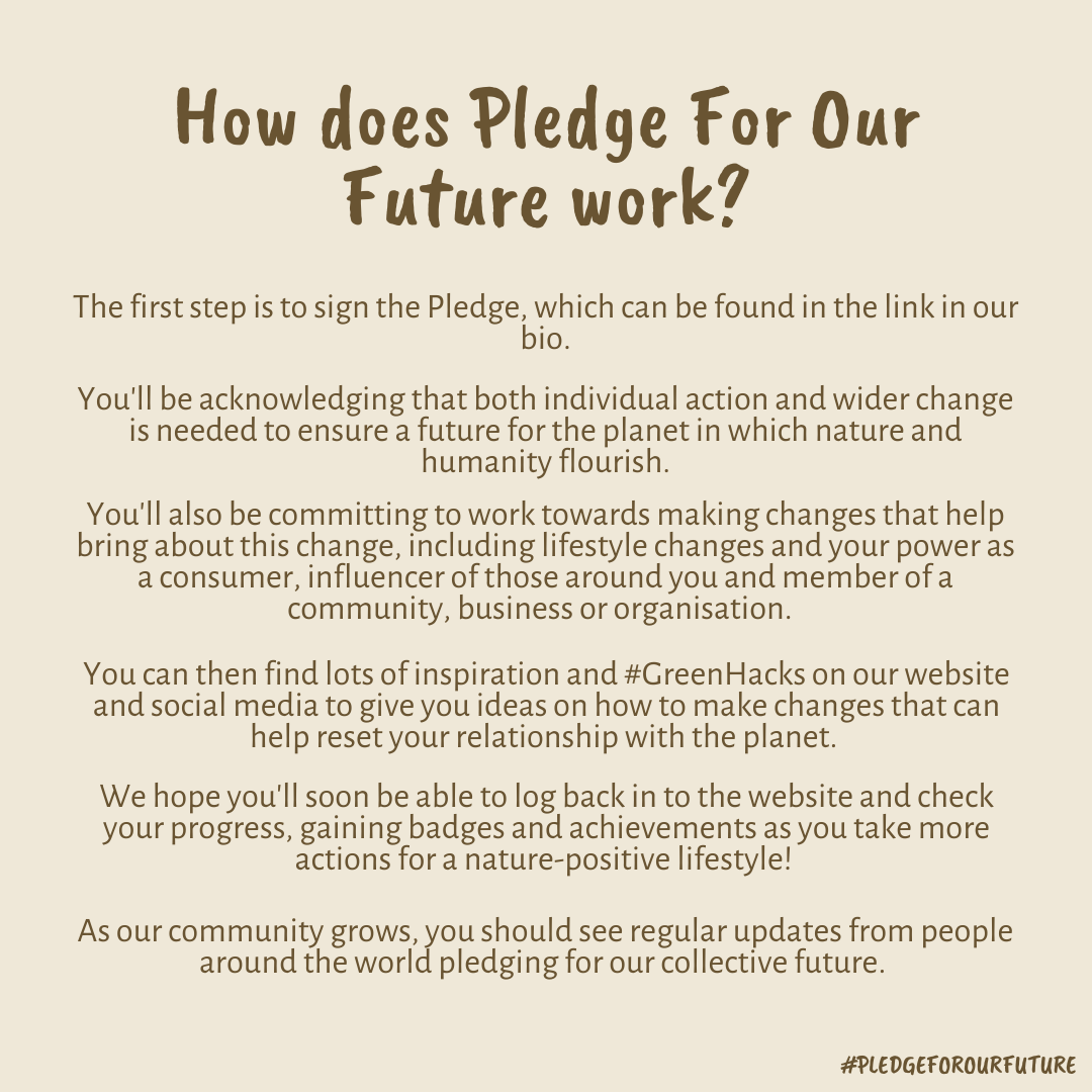 Naturepledge's tweet photo. We're excited to have a bit of a relaunch on the #PledgeForOurFuture social media! Follow us &amp; don't forget to sign the Pledge on our website. We’ll be posting #GreenHacks to help you be more #ecofriendly and sharing all things #sustainability 🌍✨ https://t.co/mpS8vcclgB