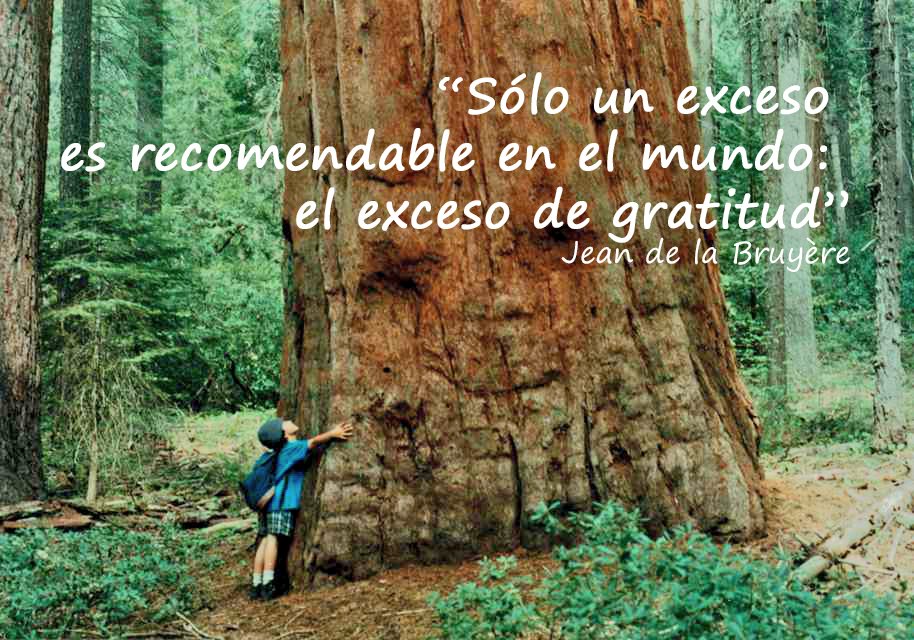 Nota del día vía <a href="/DoctoraDescanso/">Psic. Alicia D de P</a>