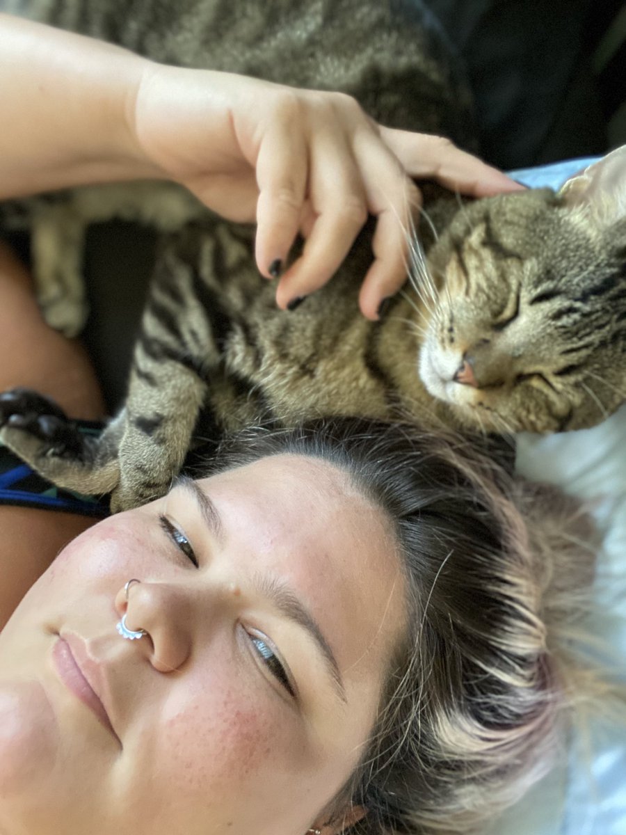 Goodforh3r's tweet photo. Hoy tamos ñoñish #cats #CatsofTwittter #ArchieTheCat https://t.co/reQ694I70a