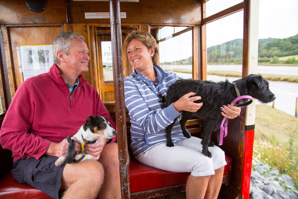 DevonTopDaysOut's tweet photo. Want a #DevonDayOut and want to take your dog with you too?
Check out Devon's Top Attractions #dogfriendly days out here https://t.co/Mz5upi8C3b @GreatDevonDays @VisitDevon https://t.co/kmb4LNTPzM