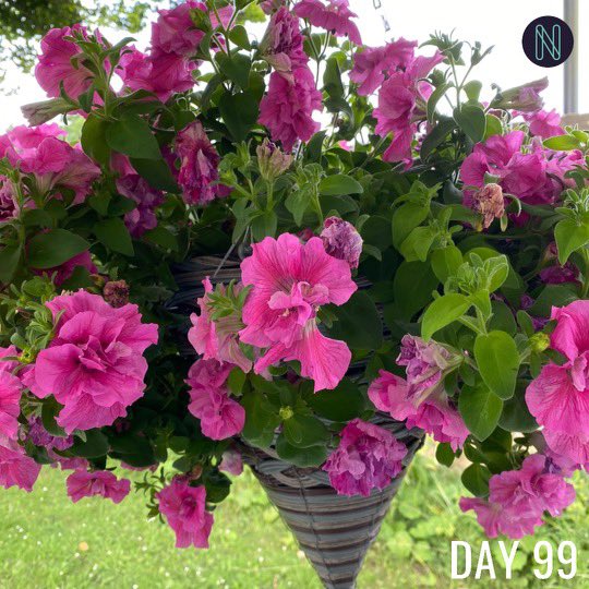 Inspiration North tweet media