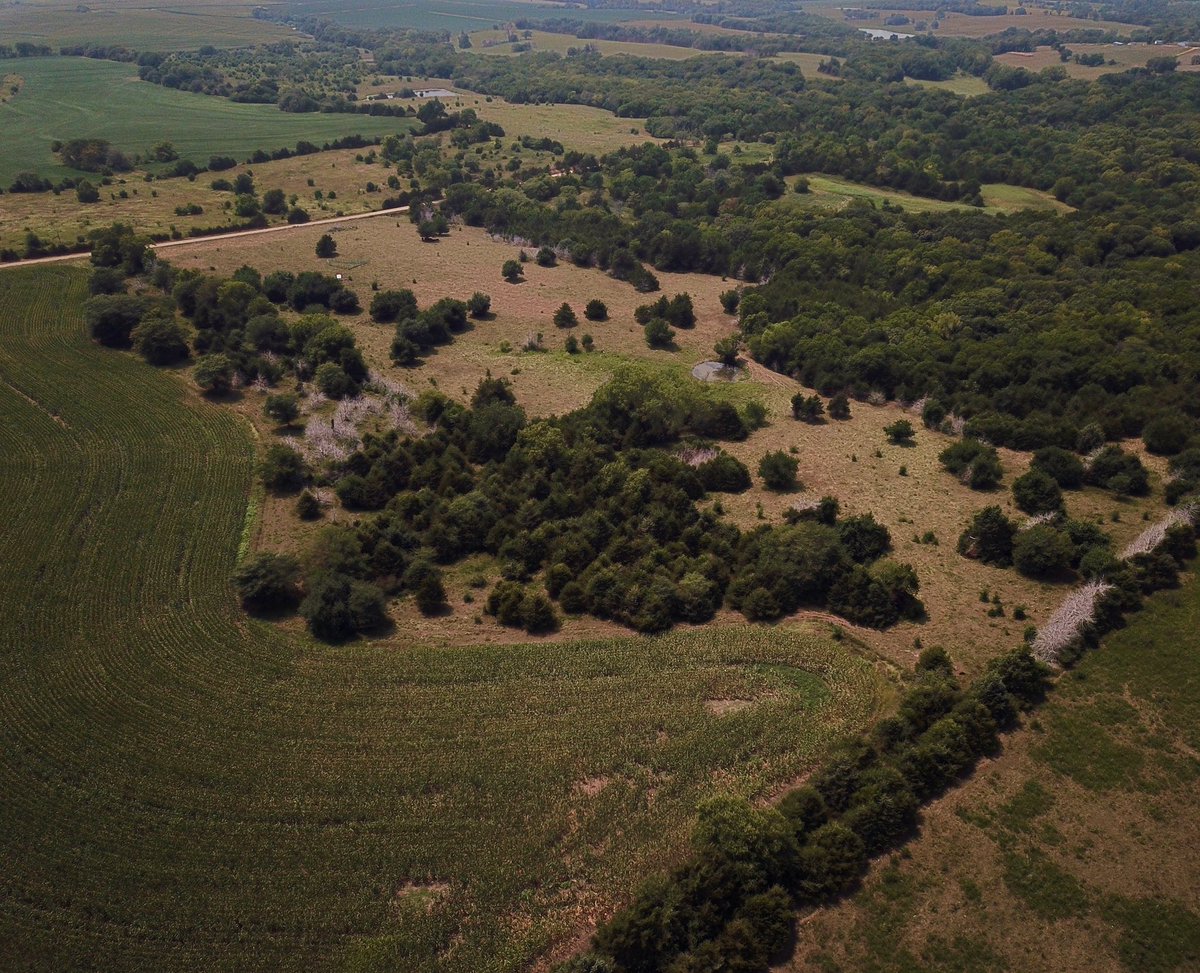 BEOUTDOORScom's tweet photo. New Jackson County, KS listing coming soon! #hunting #farm #deerhunting #turkeyhunting #tillableacreage #buildsite #beoutdoors #landforsale https://t.co/Qz9DtrGmng