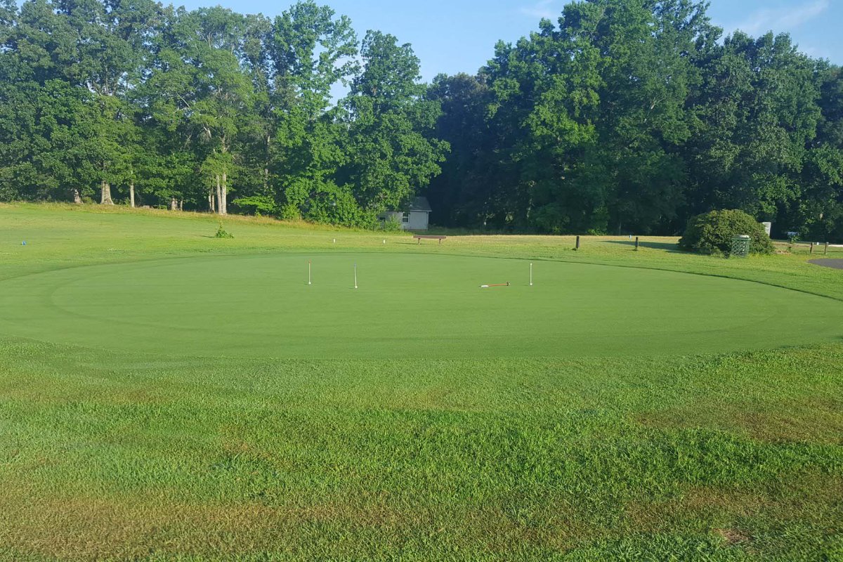 Modern Turf - Rembert tweet media