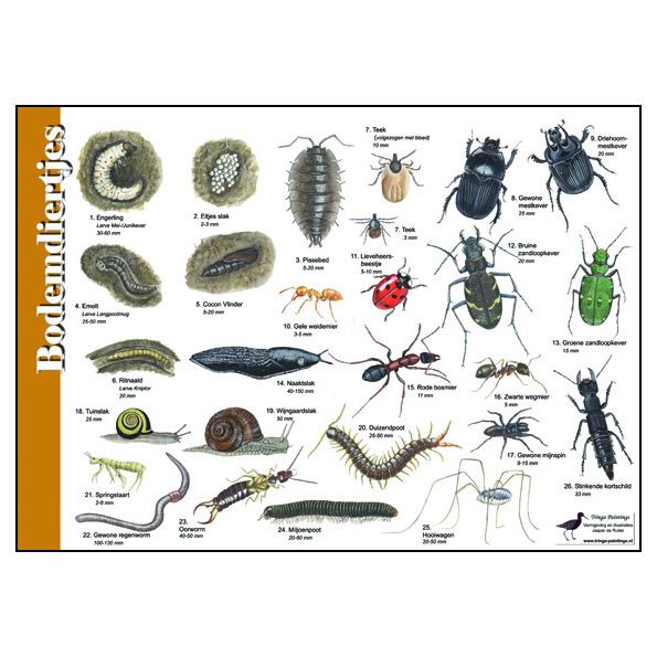 BoswachterRob tweet picture