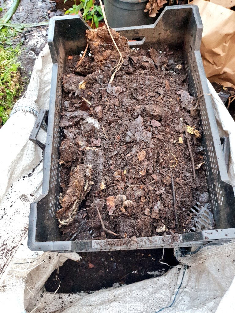 andy_vauxhall's tweet photo. Dismantling the #compost heating system. Carefull not to damage pipes. Processing the high quality #leafmold fines for potting plants larger bits for mulching nothing wasted. Soon to build next heating system for greenhouse https://t.co/pFh7Xt9NKY