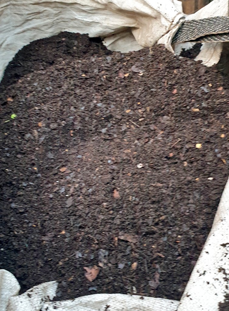 andy_vauxhall's tweet photo. Dismantling the #compost heating system. Carefull not to damage pipes. Processing the high quality #leafmold fines for potting plants larger bits for mulching nothing wasted. Soon to build next heating system for greenhouse https://t.co/pFh7Xt9NKY