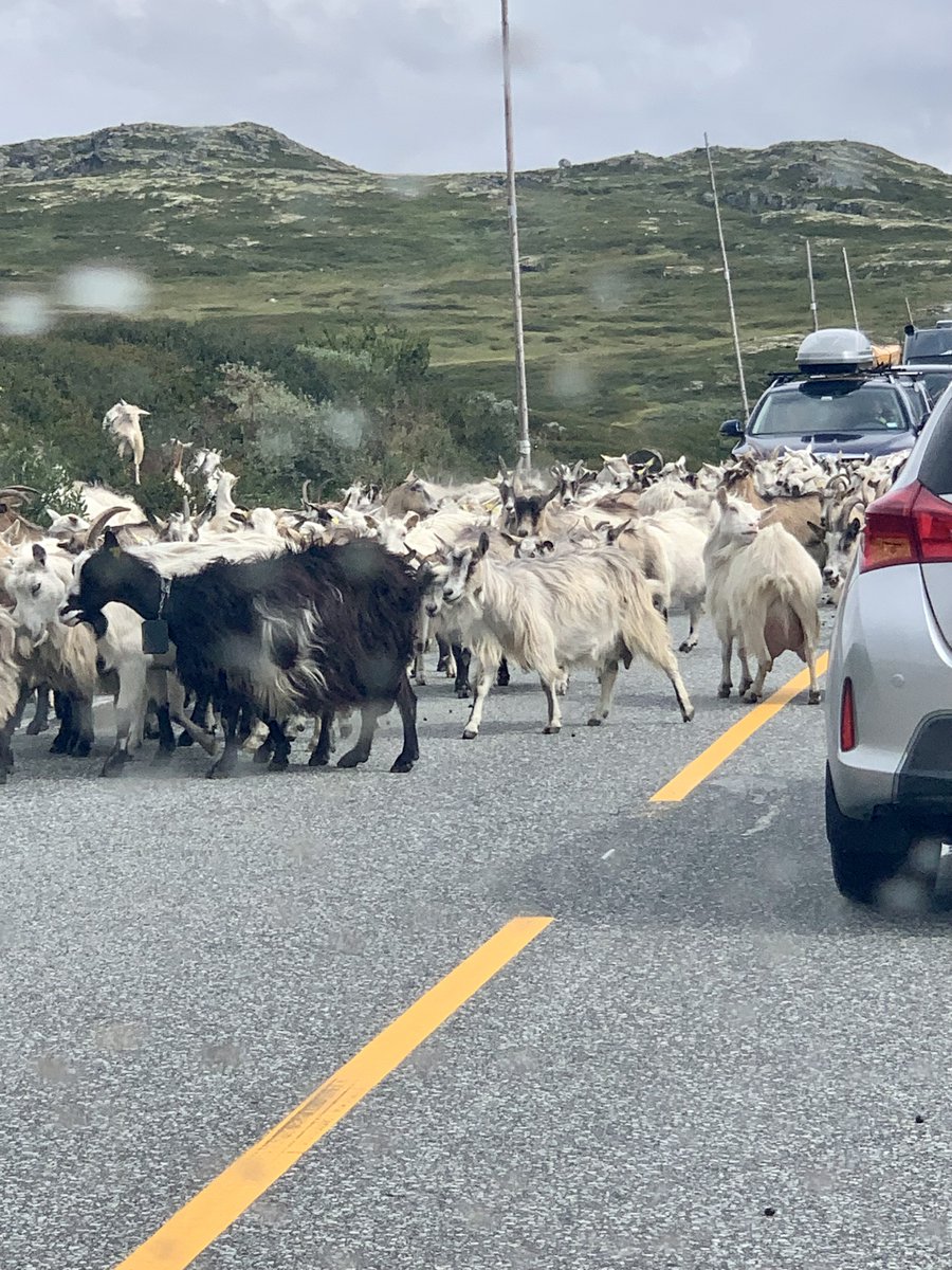 Christian Mohn™ tweet media