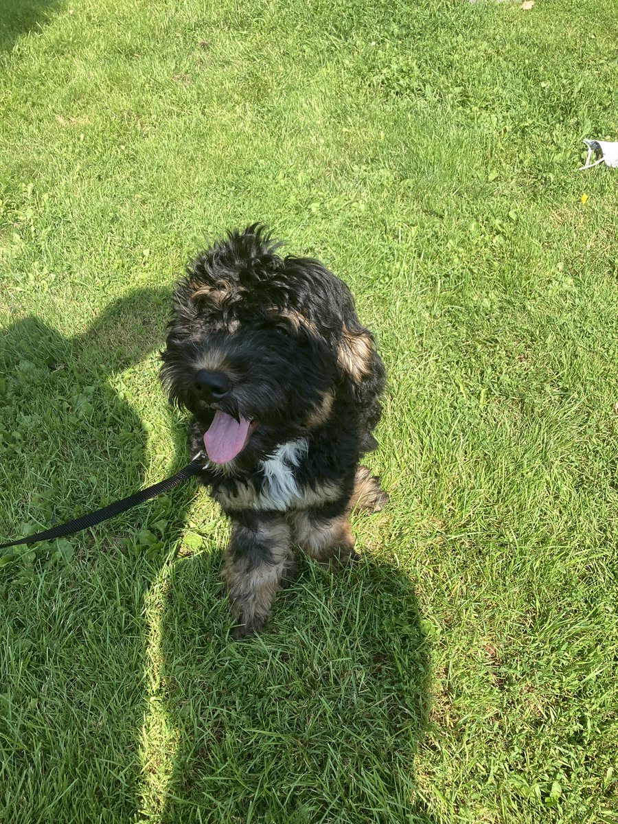 Suzanne Desrosiers tweet media