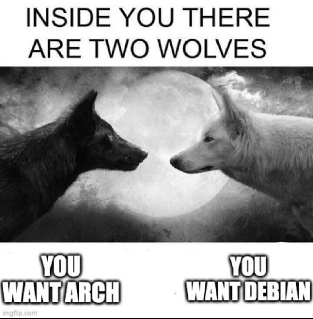realcyberpanda's tweet photo. #TeamArch or #TeamDebian?
Don't miss the poll after this post 👇 https://t.co/CxwipL70NF