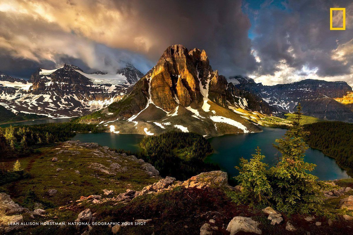 NatGeoTravel's tweet photo. "Although she is a bit hidden in the clouds, Mt. Assiniboine is know as 'the Matterhorn of the Rockies,'" writes #YourShotPhotographer Leah Allison Horstman, who captured this tranquil sunrise moment. https://t.co/rJvsRFErNY