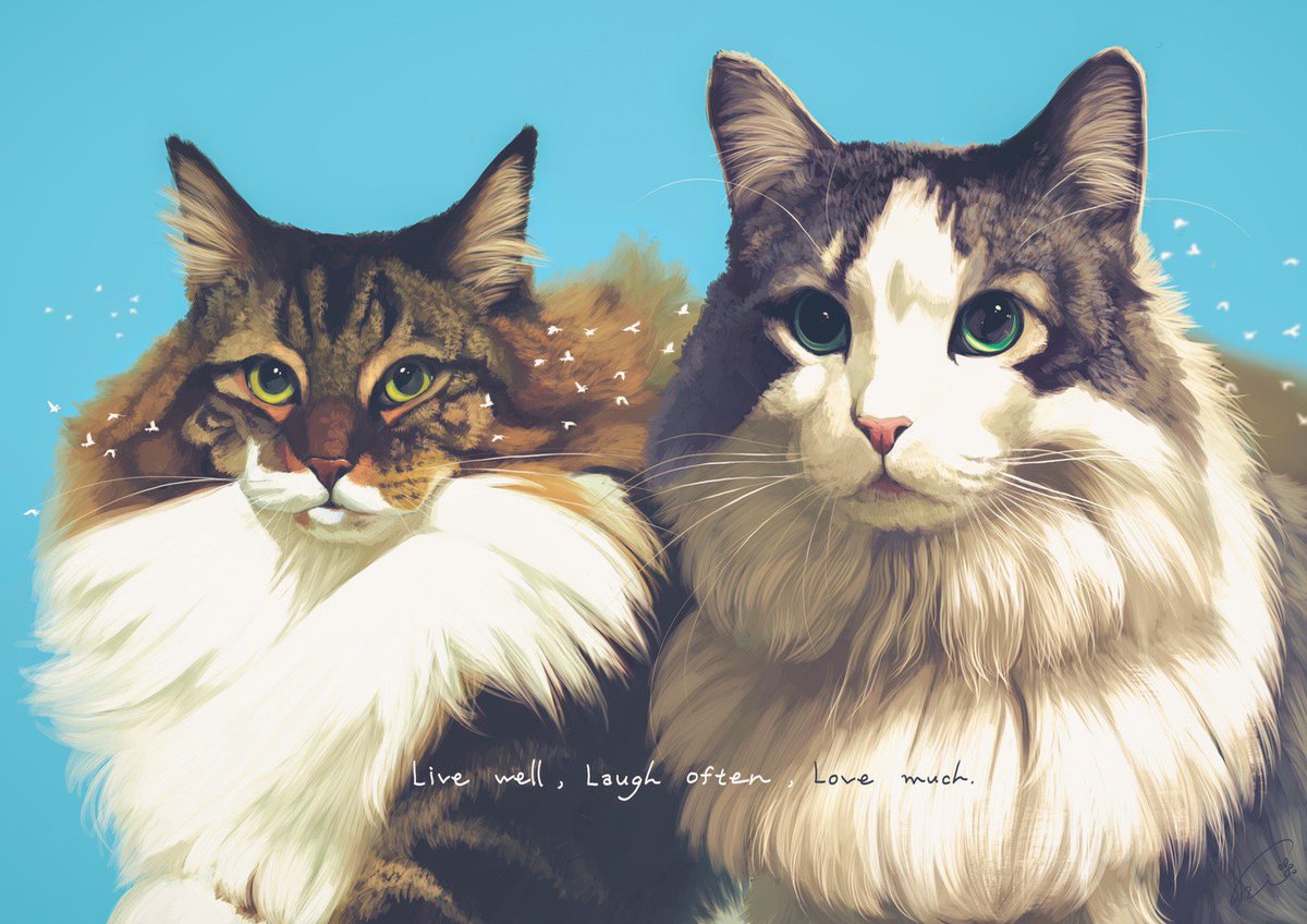 「🐈 #世界猫の日🐈 」|sakio🐾書籍「4ステップで誰でもかわいく描ける いぬとねこのイラスト練習帖」発売中🐾のイラスト