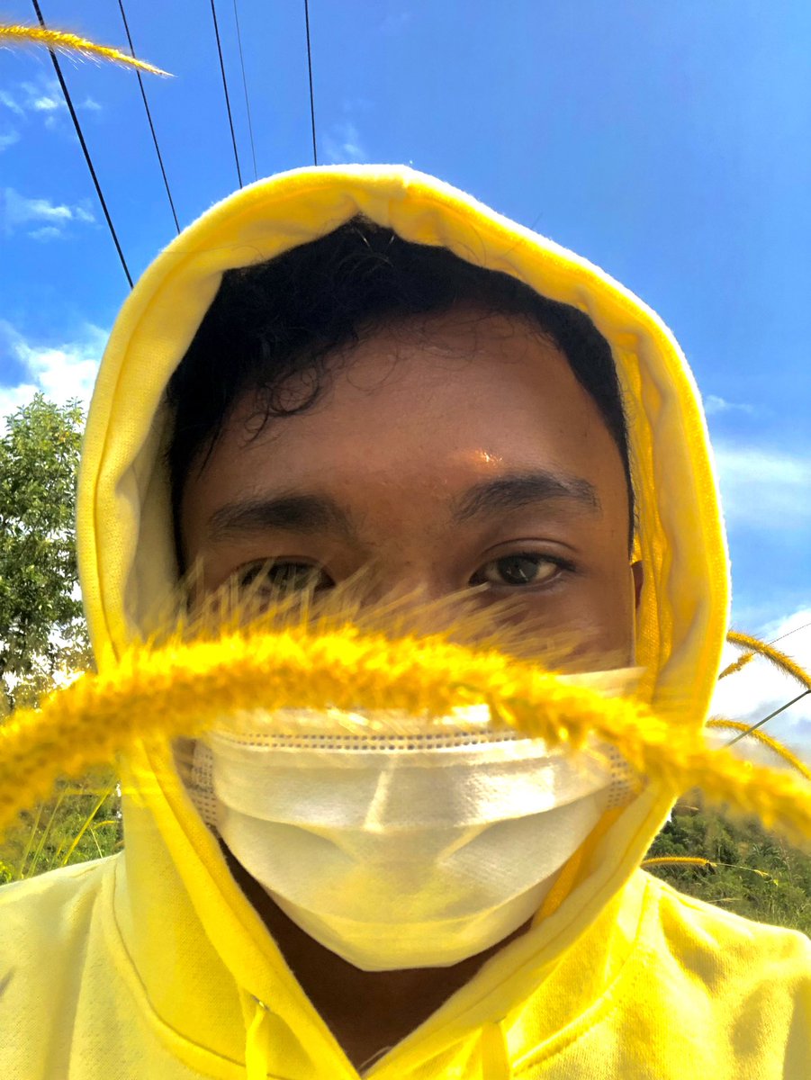 おはよう☀
いい天気だね